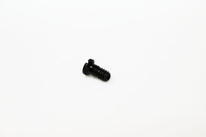 Ray Ban 4171 Erika Screws | Replacement Screws For RB 4171