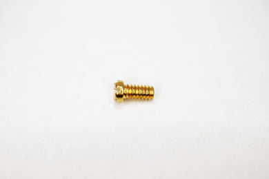 Ray Ban 4175 Screws | Replacement Screws For RB 4175 (Front Screw)