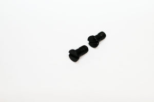 Ray Ban 4171 Erika Screws | Replacement Screws For RB 4171