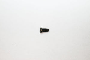 Burberry BE1334 Screws | Replacement Screws For BE 1334