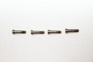 Ray Ban 4207 Screws | Replacement Screws For RB 4207 Liteforce