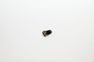Miu Miu 02TS Screws | Replacement Screws For MU 02TS