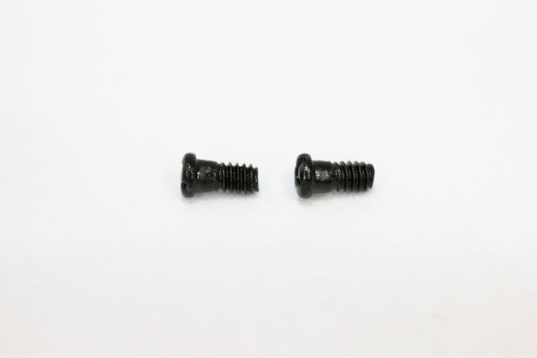 Ray Ban 3136 Caravan Screws | Replacement Screws For RB 3136