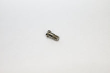 Load image into Gallery viewer, Youngster Ray Ban Screws| Replacement Youngster Rayban Screws For RB 4221