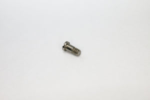 Youngster Ray Ban Screws| Replacement Youngster Rayban Screws For RB 4221