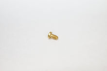 Load image into Gallery viewer, Clubmaster Ray Ban Screws| Replacement Clubmaster Rayban Screws For RB 3016