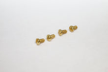 Load image into Gallery viewer, Sferoflex 2582 Screws | Replacement Screws For SF 2582