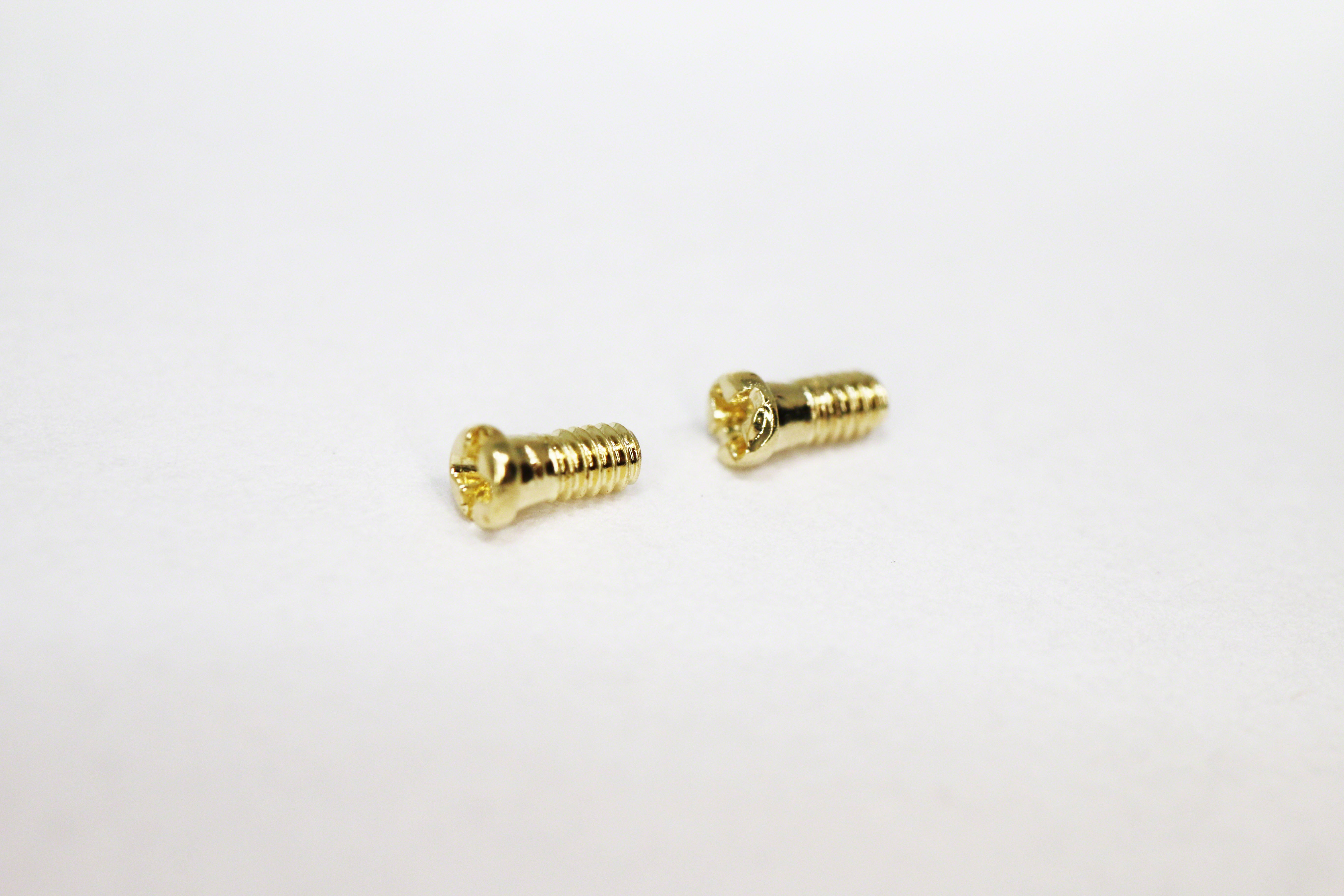 Ray Ban 3574 Blaze Screws Replacement Screws For RB 3574 glassestools