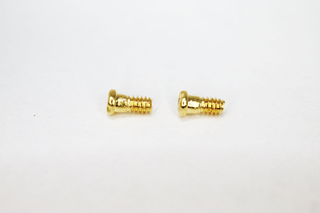 Ray Ban 4292 Screws | Replacement Screws For RB 4292 Double Bridge