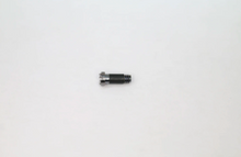 Load image into Gallery viewer, Oliver Peoples Screw Replacement | Oliver Peoples Screws For Sunglasses