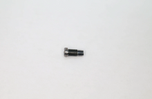 Load image into Gallery viewer, Prada Screws - Replacement Prada Screws