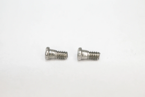 Ray Ban Screws - Replacement Rayban Screws